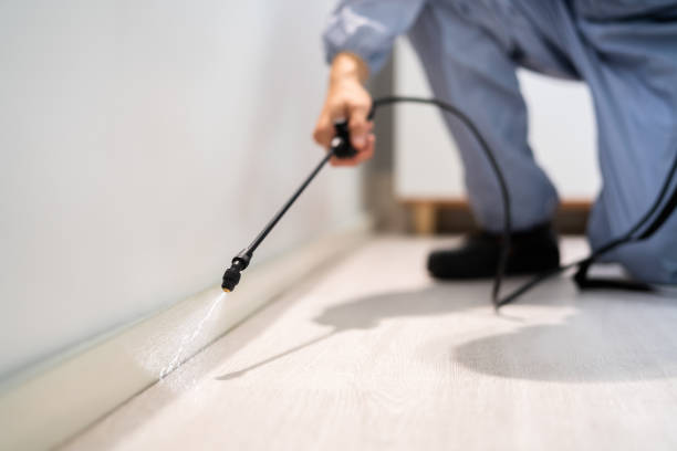 Licensed Pest Control service in Gardner, IL - Show Me Pest Control